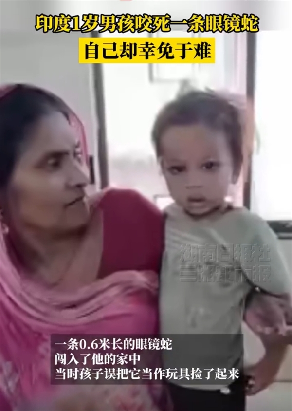 印媒称1岁男童咬死眼镜蛇奇迹生还 网友质疑造神