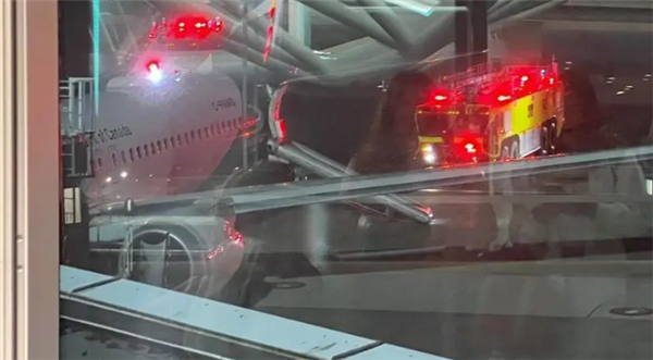 加拿大一架波音737客机发动机起火：乘客用滑梯疏散