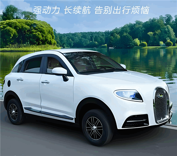 老头乐厂家把“理想L1、理想没噶”都造出来了 网友：你就说像不像吧