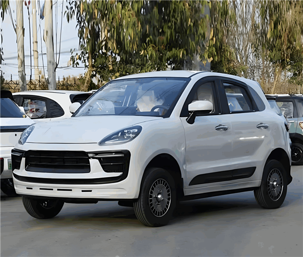 老头乐厂家把“理想L1、理想没噶”都造出来了 网友：你就说像不像吧