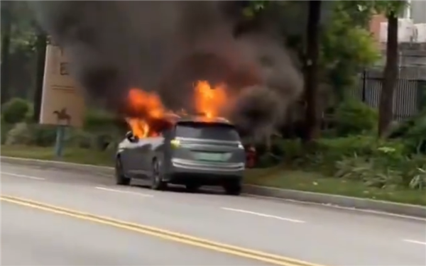 广汽埃安路边起火：车内窜出大量明火、黑烟