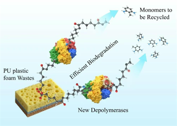 中科院找到生物降解塑料新方法:效率暴增10倍以上插图 中科院找到生物降解塑料新方法:效率暴增10倍以上