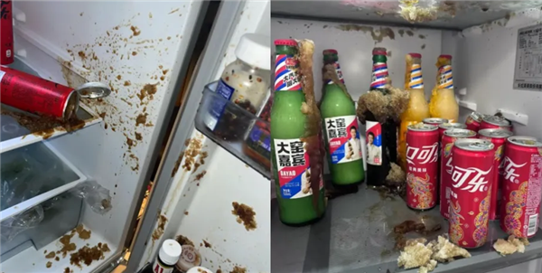 注意！夏季这些东西放冰箱可能会“爆”
