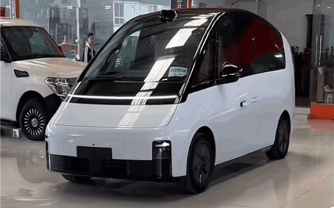 老头乐厂家把“理想L1、理想没噶”都造出来了 网友：你就说像不像吧