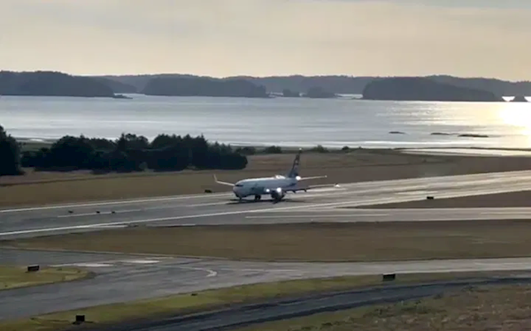 离奇事故！波音737客机跑道降落时 撞死几只鹿