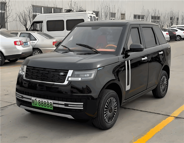 老头乐厂家把“理想L1、理想没噶”都造出来了 网友：你就说像不像吧