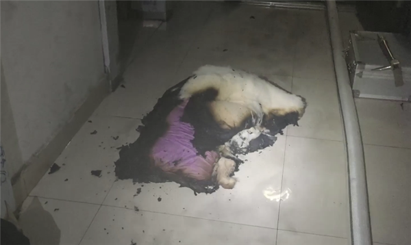 男子新买的手机充电器没拔 回家发现卧室烧了