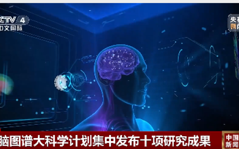 我国科学家在世界上首次绘制！十项重磅脑科学成果“一锅出”