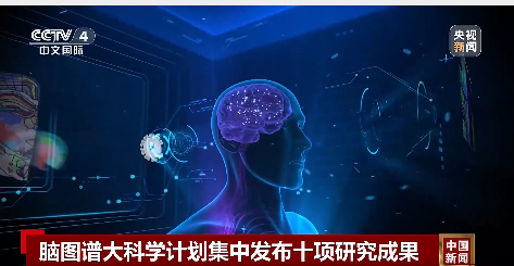 我国科学家在世界上首次绘制！十项重磅脑科学成果“一锅出”