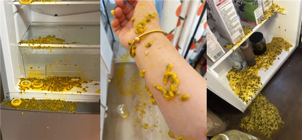 注意！夏季这些东西放冰箱可能会“爆”