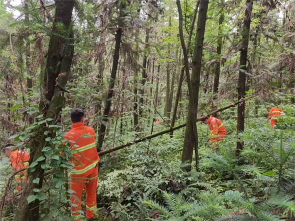 00后小伙暴走6天只为忘掉前女友 采野果、喝溪水充饥