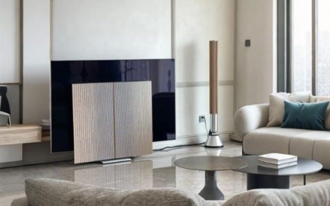 别问实用性！这些家电贵得离谱但土豪抢着买