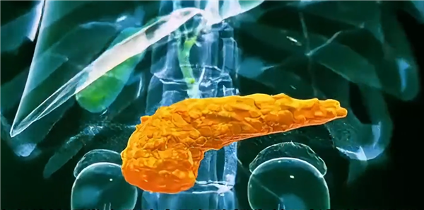 糖尿病突破！科学家成功3D打印全功能人类胰岛
