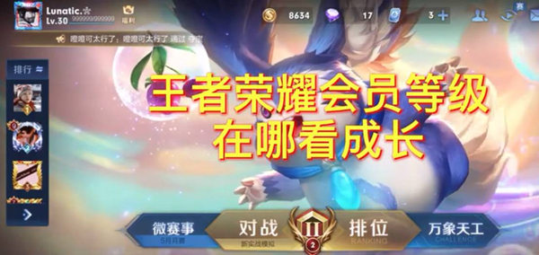 王者荣耀会员等级查看方法
