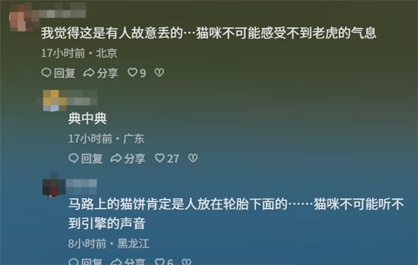 青海一动物园狸花猫误入虎园被咬死 园方回应：非人为携带