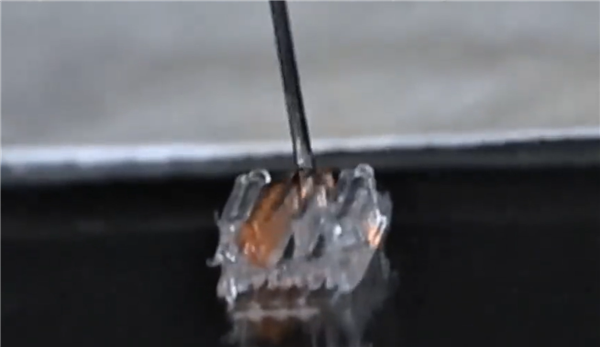 3D打印或能让瘫痪者再次行走：已在动物身上验证