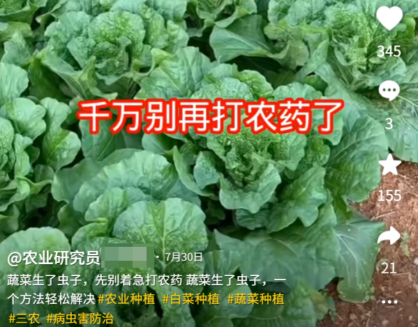 为了骗农民的钱 这群人注册了上千个账号