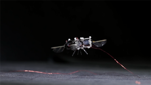 麻省理工正开发一种蜂形机器人：扇动翅膀高达400次/秒 最快速度达2米/秒