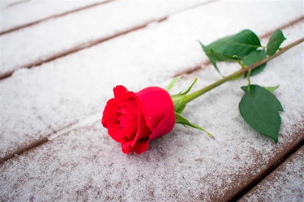 今天七夕节 男子用面粉给妻子做了一束鲜花