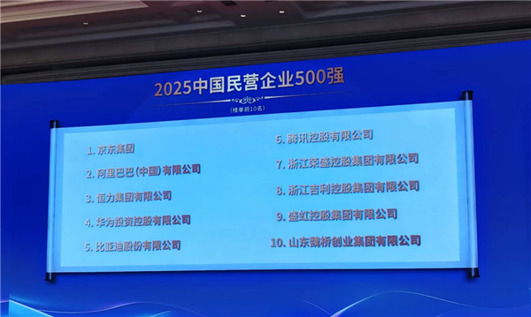 2025中国民营企业500强公布：京东阿里前二 华为未进前三