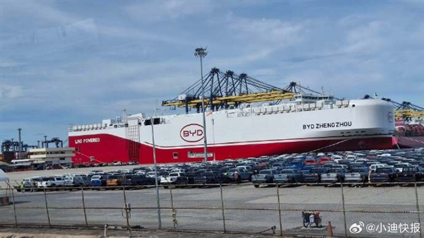 比亚迪泰国工厂首次出口电动车至欧洲 近千辆海豚列阵太壮观