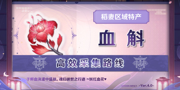 原神血斛怎么采集-原神血斛采集路线