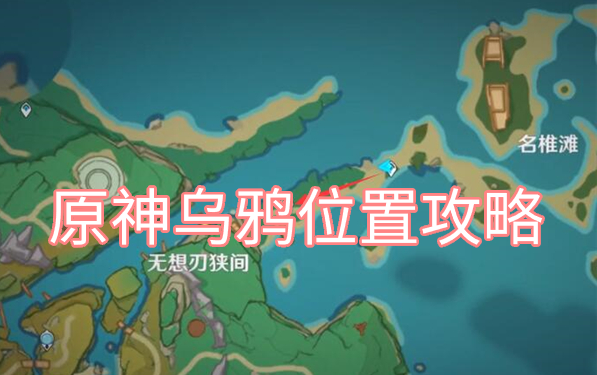 《原神》乌鸦位置介绍 乌鸦去哪捕捉