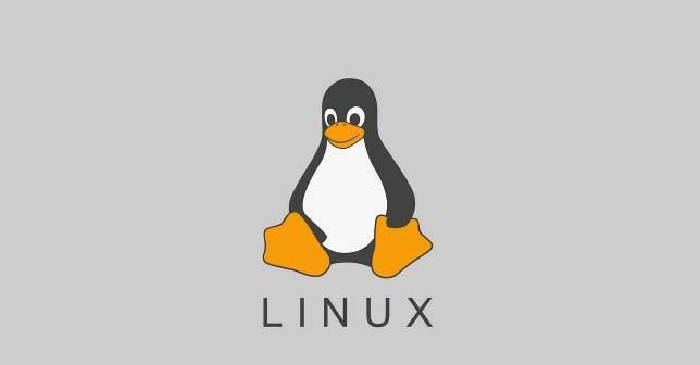 linux下ping本机没反应怎么办? LINUX下ping命令不通的常见原因与排查方法
