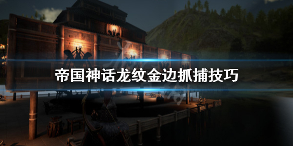 《帝国神话》龙纹金边怎么抓？龙纹金边抓捕技巧