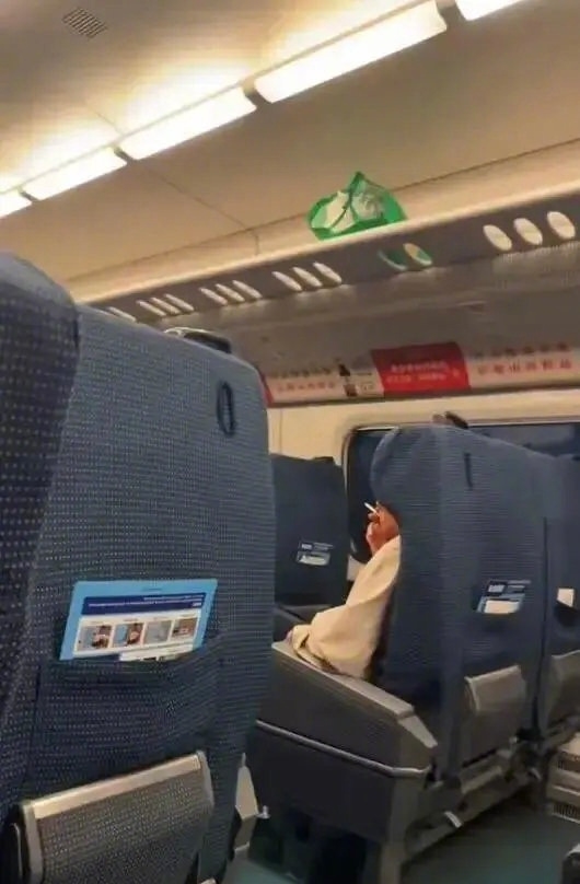 男子高铁上旁若无人抽烟被带走 12306回应：严重可致停运