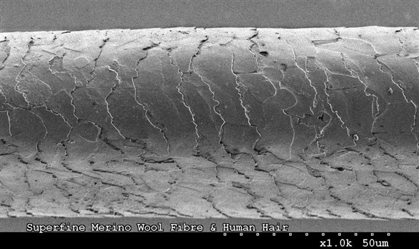 洗完头是自然风干好 还是用吹风机吹干好