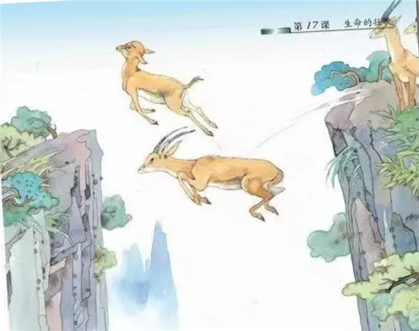 人民日报转发网友拍摄的羊群飞渡珍贵画面：瞬间想起小学课本“斑羚飞渡”