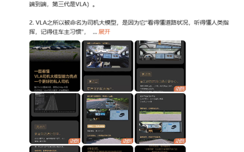 理想VLA司机大模型推送 李想：从“局部领先”进入“全面领先”