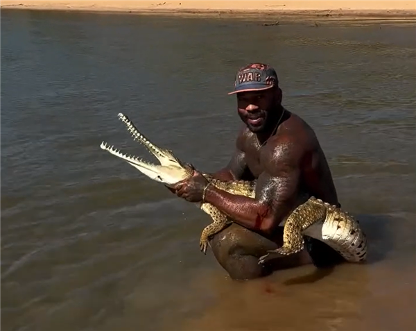 网红徒手抓鳄鱼被痛批“虐待动物”：最多可被罚12.25万元