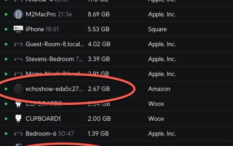 互联网吸血鬼：即便不用智能音箱仍每天消耗数十GB数据！