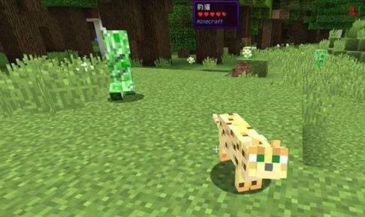 我的世界豹猫怎么驯服（驯服豹猫的正确方式）