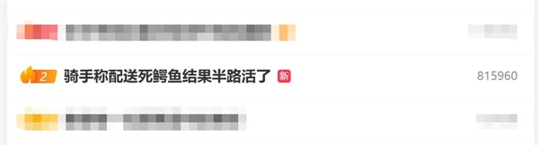 骑手称配送死鳄鱼：结果半路活了