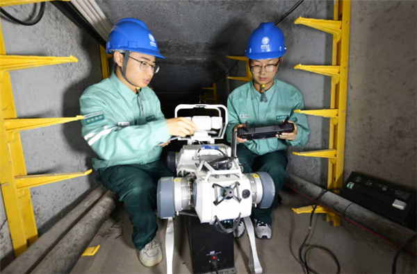 宁夏首款配电网智能巡检“机器狗”投运：每日可多批次进行自主巡视