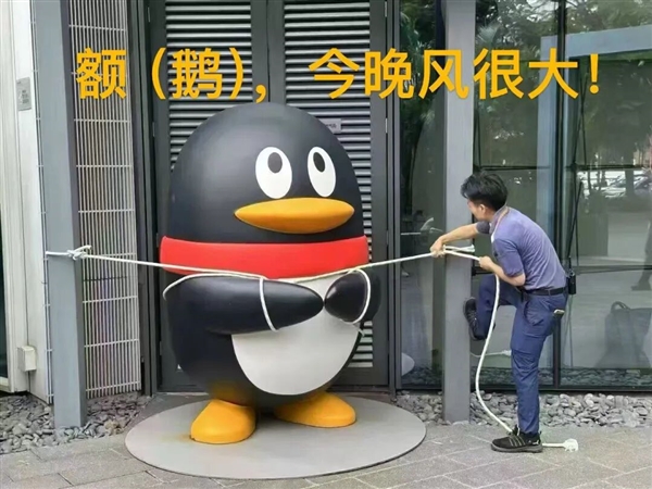 “桦加沙”逼近 腾讯拴企鹅“大作战”：没想到今天真的拴Q了  网友：笑得不行了
