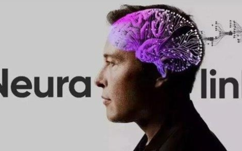 Neuralink新进展：12人植入脑机芯片 总使用时长突破1.5万小时