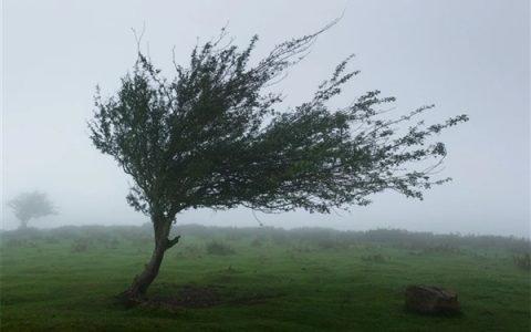 网友称桦加沙强度接近地球上限 回应来了：不科学