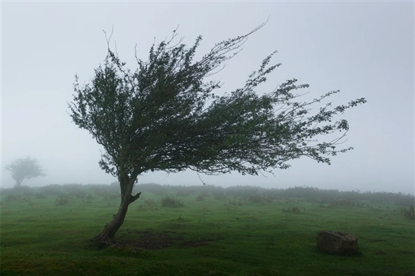 网友称桦加沙强度接近地球上限 回应来了：不科学