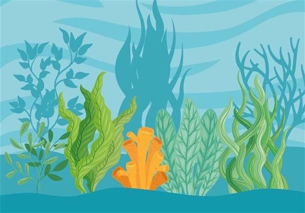 福建一渔民捕获巨型石斑：长1.8米 卖3万多元