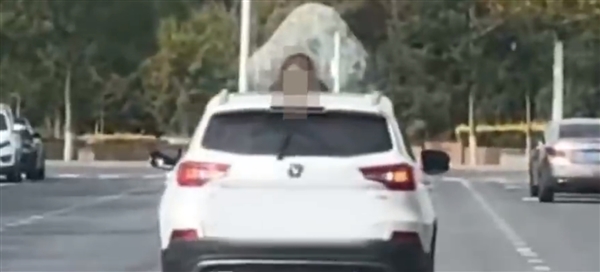 女子跪在行驶车辆前引擎盖上 男子开车径直走 交警：夫妻矛盾所致 未引发交通事故