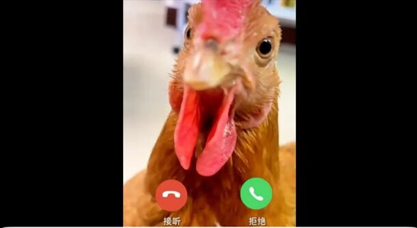 明天徐州队VS南京队 蚂蚁保和支付宝先干起来了 中国四大烧鸡将参战