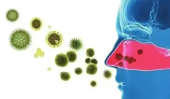 冲上热搜！洗菜后持续高烧 警惕家中真菌 “温床”