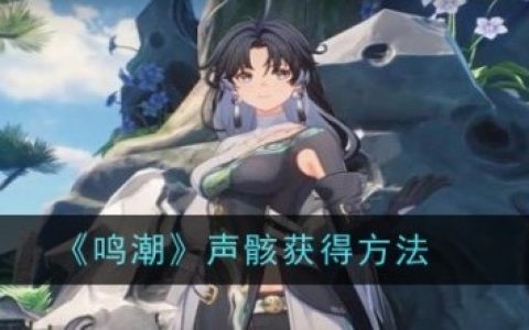 鸣潮声骸怎么获得 鸣潮声骸获取方法介绍