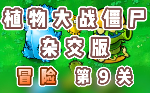 植物大战僵尸杂交版冒险9关怎么过-植物大战僵尸杂交版冒险第9关攻略
