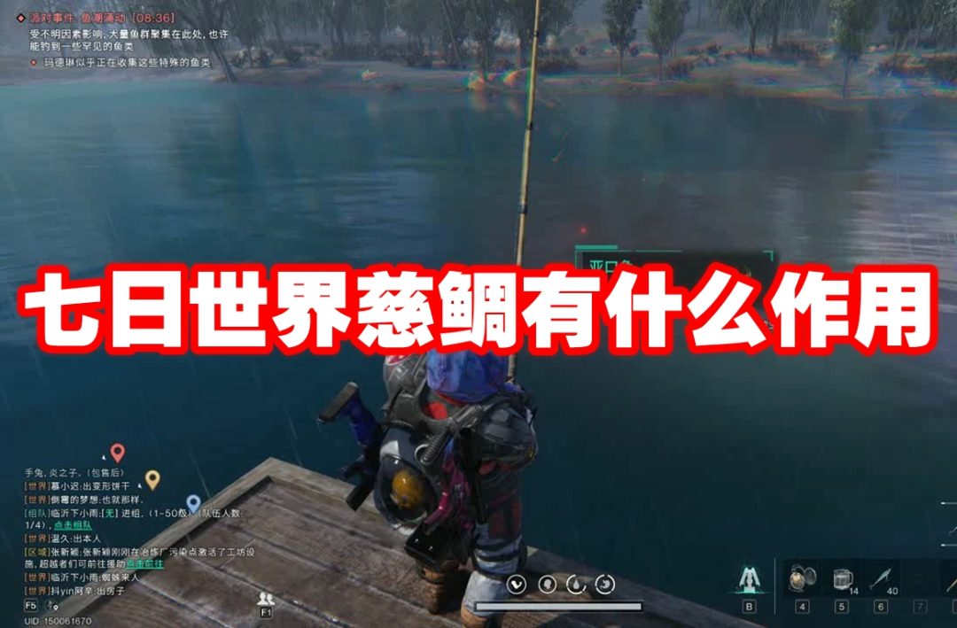 七日世界慈鲷有什么作用-七日世界慈鲷介绍