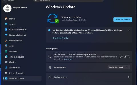 Win11 24H2 Build 26100.6725预览版发布:附KB5065789更新日志汇总